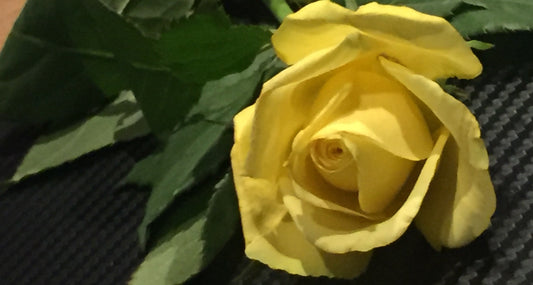 Flowers from Paris